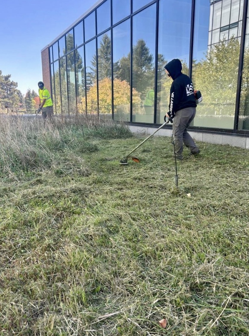 Green Roof Maintenance by VS Landscape Group in Ottawa